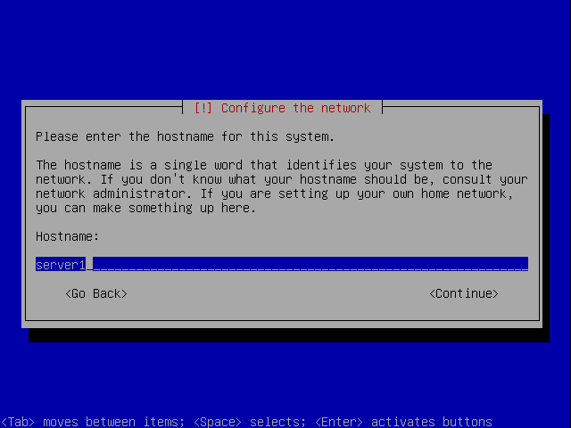 install-debian-lenny/configure-the-network.png